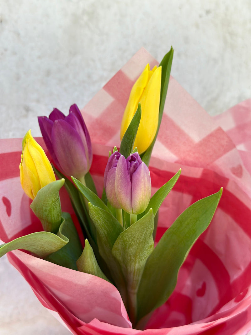 Ramo de Tulipanes