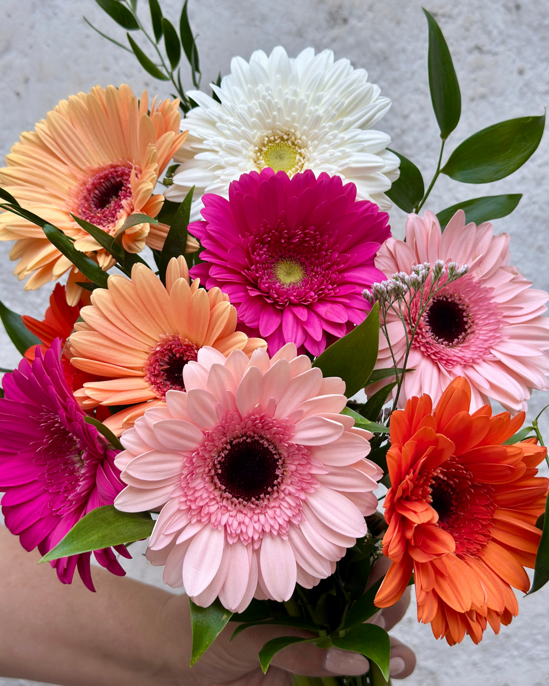 Ramo de Gerberas