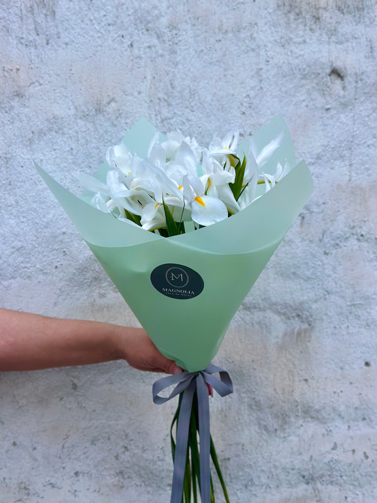 Ramo de Iris