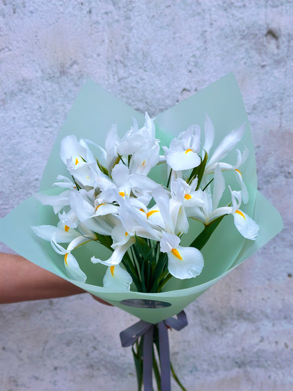 Ramo de Iris