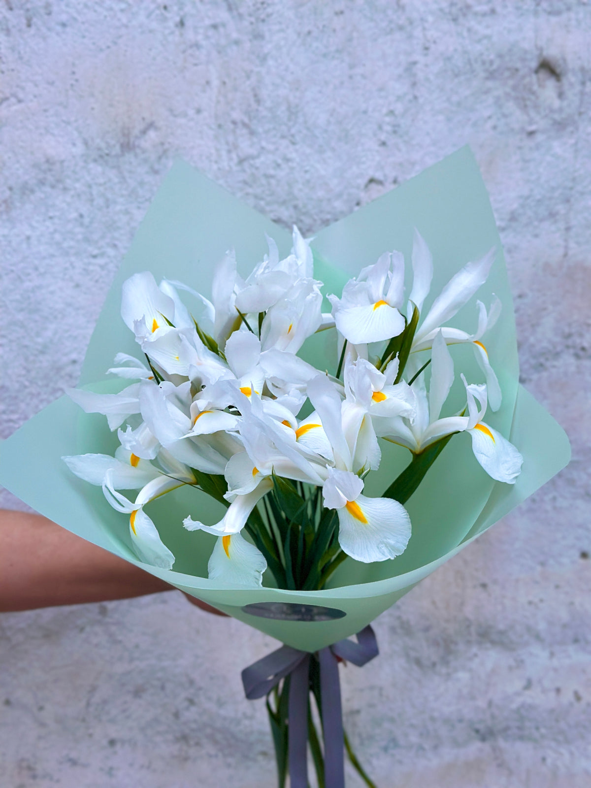 Ramo de Iris